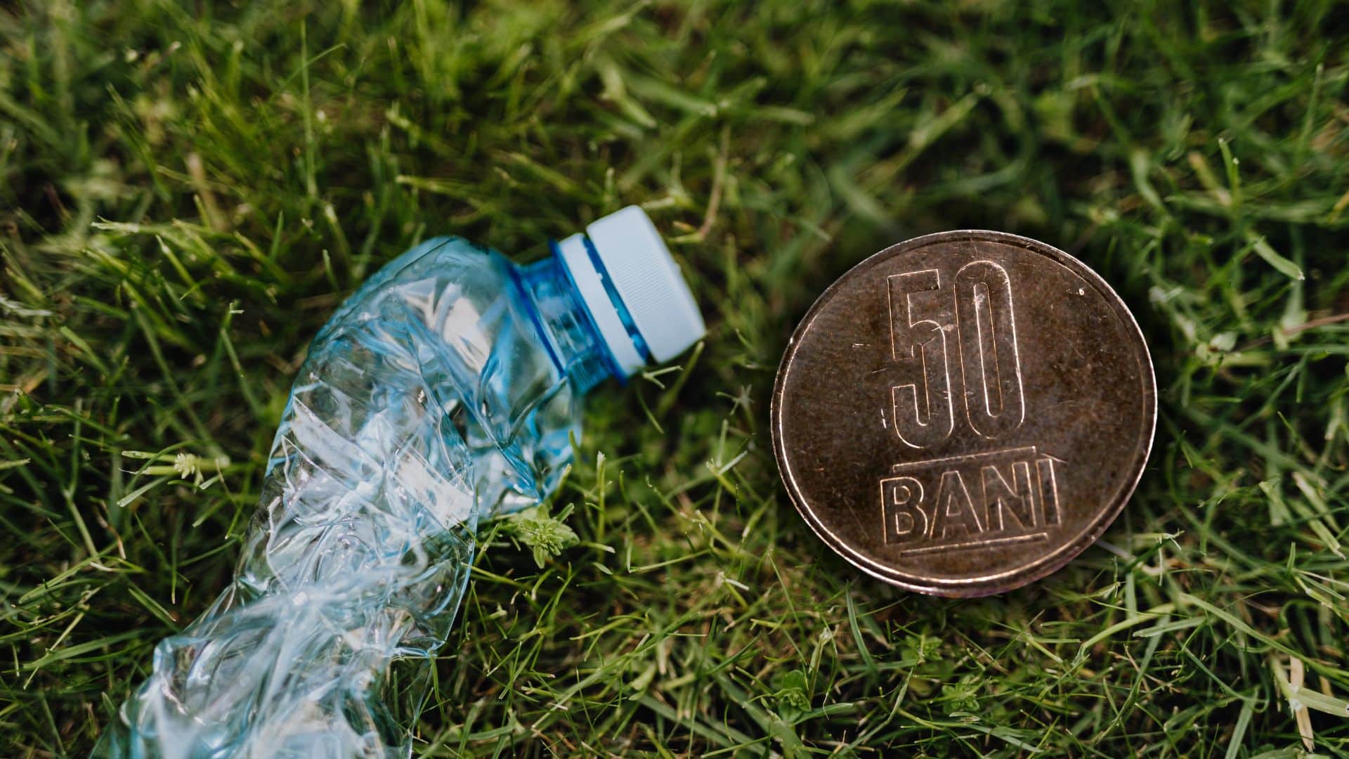 Bilanțul reciclării în România după 6 luni de SGR. Câte tone de ambalaje au fost aduse înapoi de români