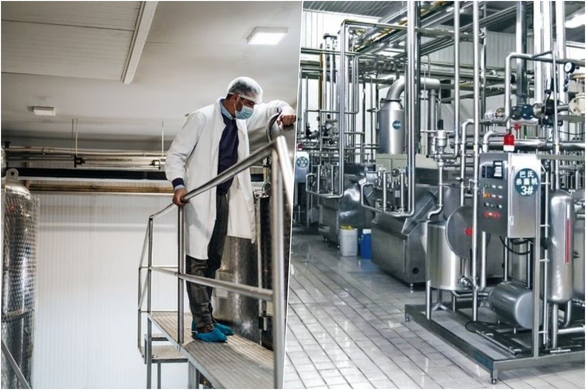 Fabrica din România care vrea să spargă toate importurile. Va procesa un aliment adorat de români