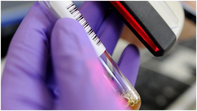 Alertă în 13 țări UE, printre care și România. Boala care a început să se răspândească din ce în ce mai mult. Mare atenție la aceste simptome