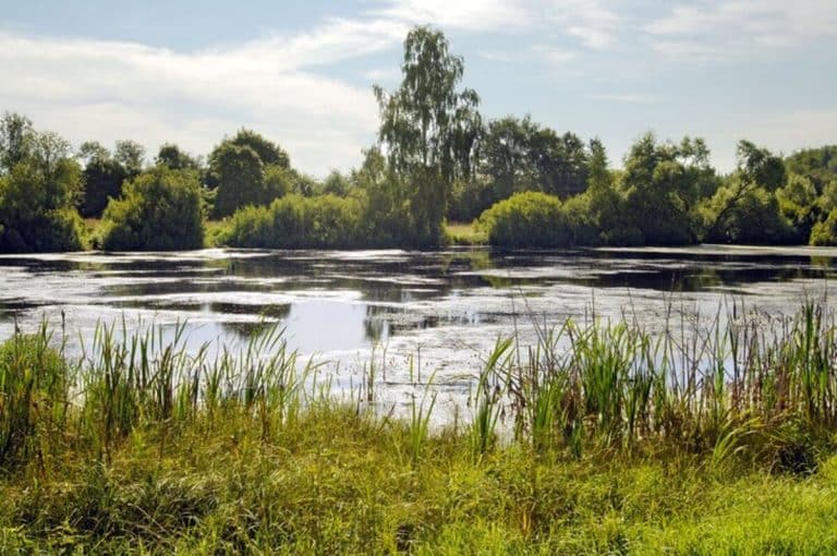 Judeţul unde populaţia e lăsată în voia sorţii pe timp de vară. N-a fost amenajat niciun loc natural de scăldat, riscuri uriaşe pentru cei care intră în apă