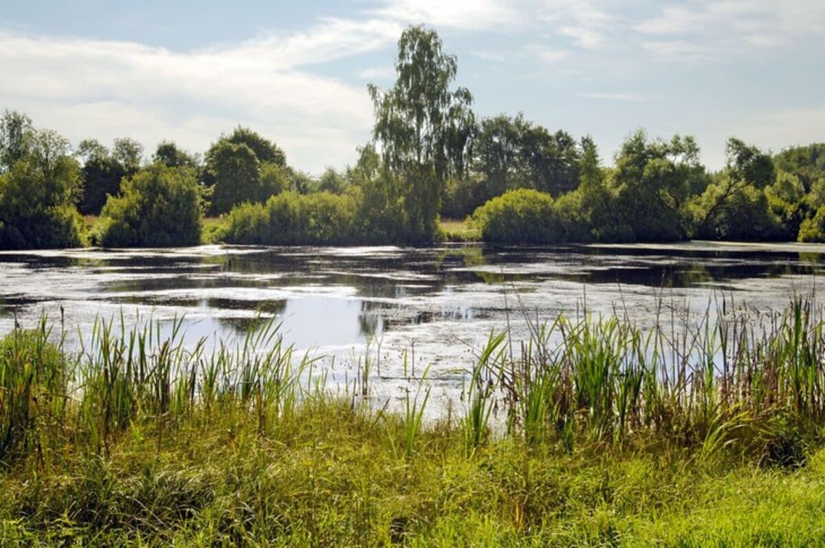 Judeţul unde populaţia e lăsată în voia sorţii pe timp de vară. N-a fost amenajat niciun loc natural de scăldat, riscuri uriaşe pentru cei care intră în apă