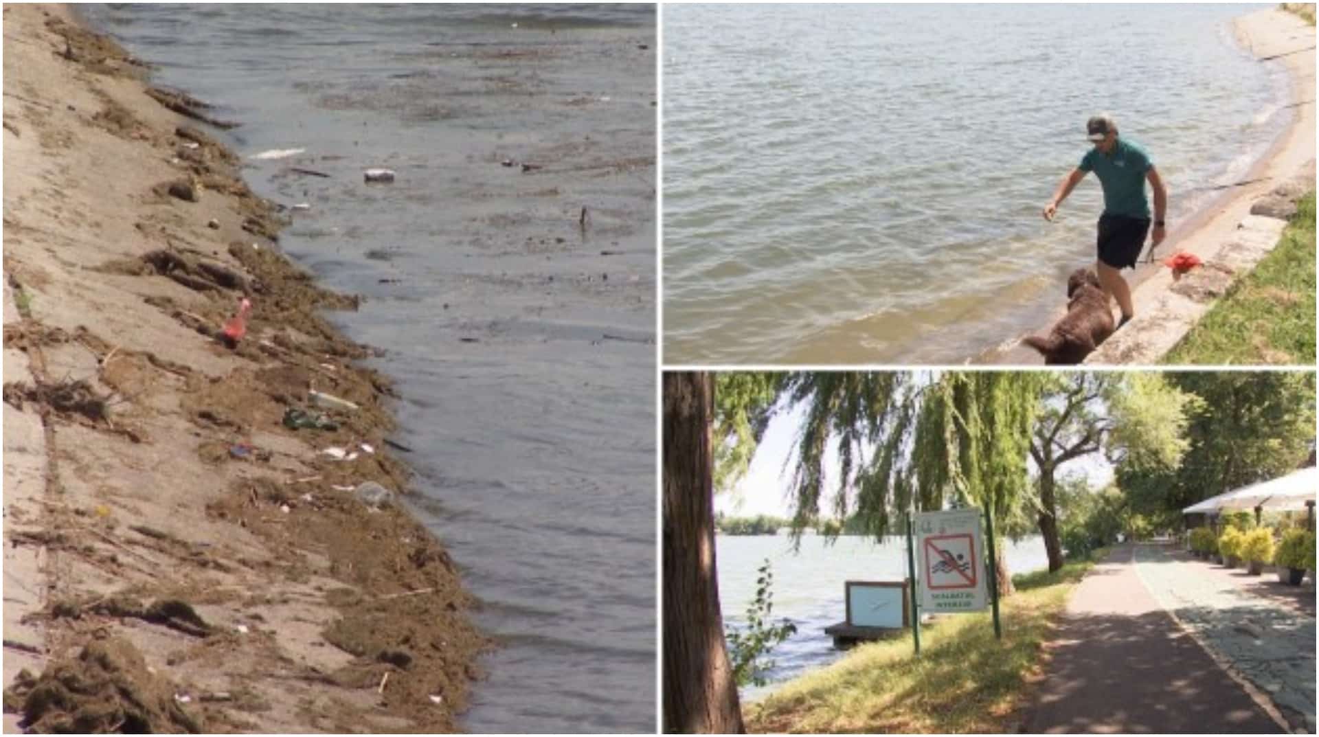 Pericol în București. Ce se află în apa lacurilor Capitalei. Scăldatul în ele nu e deloc recomandat